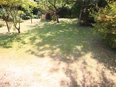 Picture 14
